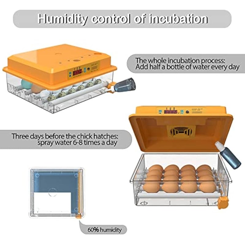 عربست حاضنة لتفقيس البيض من هيثيا، حاضنة البيض، حاضنة بيض الدجاج، بيض السمان، تقليب البيض التلقائي - Image 5